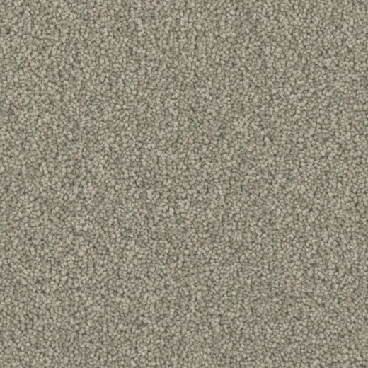Microban Top Notch Admirable Polyester Carpet - Pattern