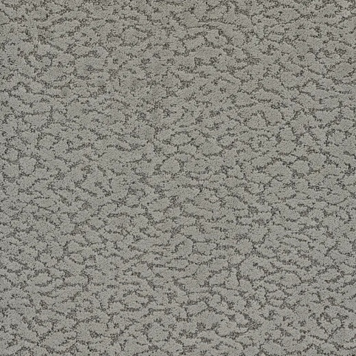 Floorever Petplus Maxwell Journey Polyester Carpet - Pattern