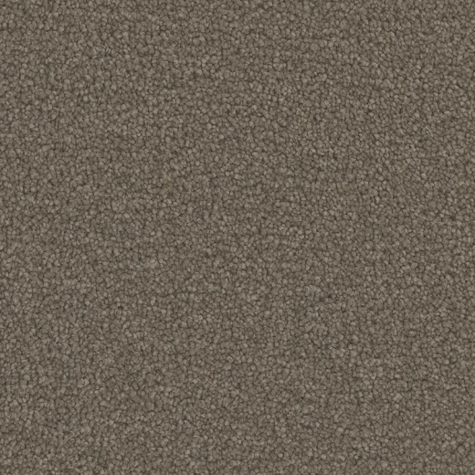 Floorever PetPlus Emerson Design District Polyester Carpet - Textured