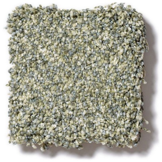 Pet Perfect Mollie's Turn Pacific Beach Nylon Carpet - Textured