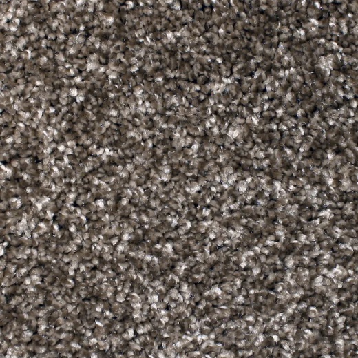 FloorEver PetPlus Idyllic Upbeat Polyester Carpet - Textured