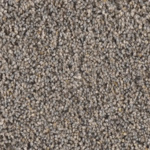 Microban Riverbend II Movement Polyester Carpet - Textured