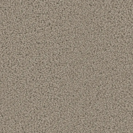 Floorever Petplus Mateo Showcase Polyester Carpet - Textured