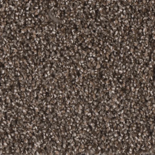 Microban Creekside II Millpond Polyester Carpet - Textured