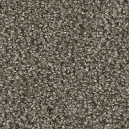 Microban Bodega Bay Back Road Polyester Carpet - Textured