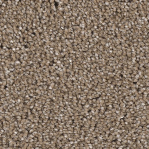 Microban Medal Winner Warrior Polyester Carpet - Pattern