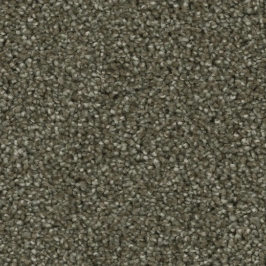 Microban Blessed Intent Polyester Carpet - Textured