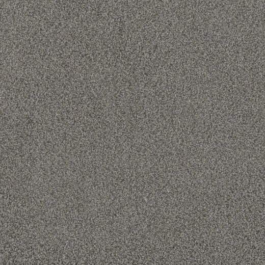 Floorever Petplus Portofino Harbour Town Polyester Carpet - Textured