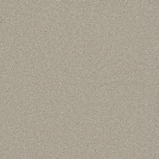 Microban Heavenly Angelic Polyester Carpet - Textured