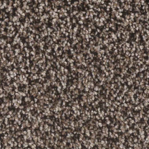 Floorever Visionary Airy Polyester Carpet - Textured