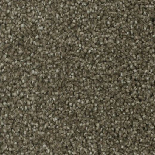 Microban Goals Favorable Polyester Carpet - Textured