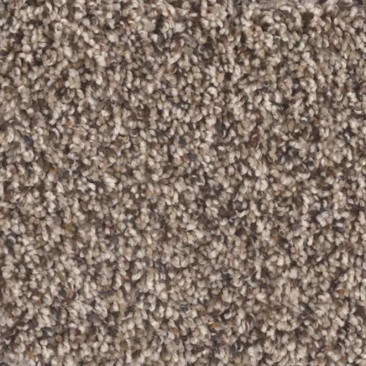 Floorever Visionary Fanciful Polyester Carpet - Textured