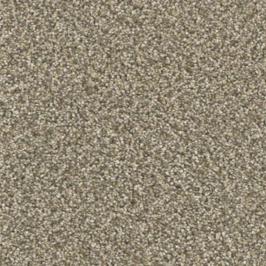 Microban Five Star Smart Set Polyester Carpet - Textured