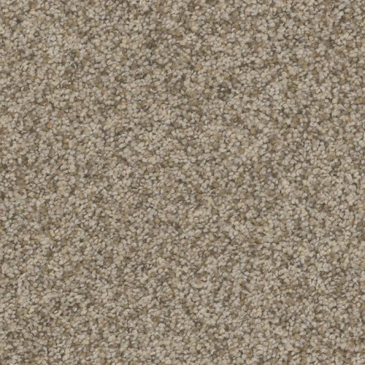 FloorEver PetPlus Catania Old Town Polyester Carpet - Textured