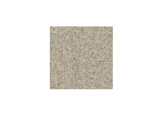 Floorever Petplus Paxton Opulent Polyester Carpet - Textured