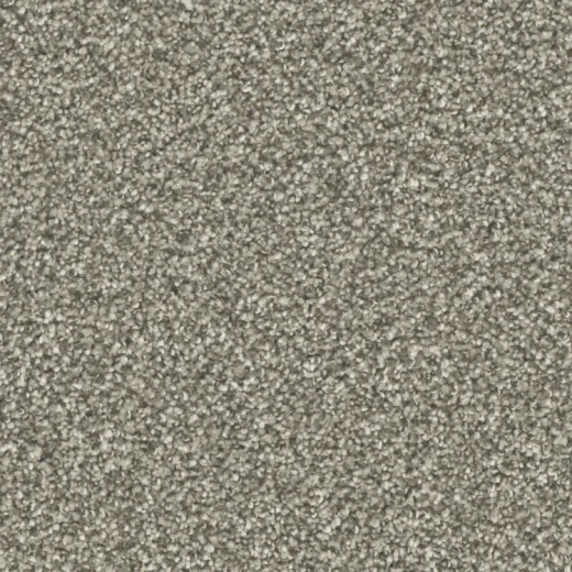 Microban Top Notch Well Made Polyester Carpet - Pattern