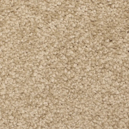 FloorEver Ebullient Attracted Polyester Carpet - Textured