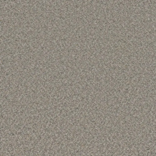 Floorever Succeed Prosper Polyester Carpet - Textured