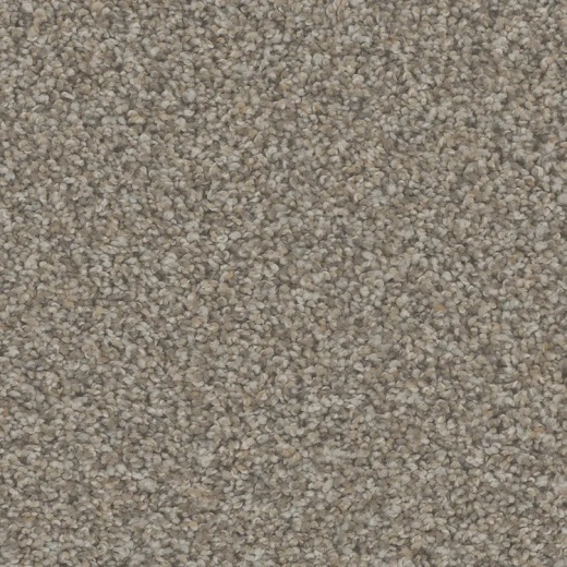 Floorever Petplus Hydra Secluded Beach Polyester Carpet - Textured