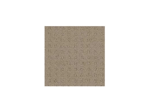 Floorever Petplus Debut First Showing Polyester Carpet - Pattern