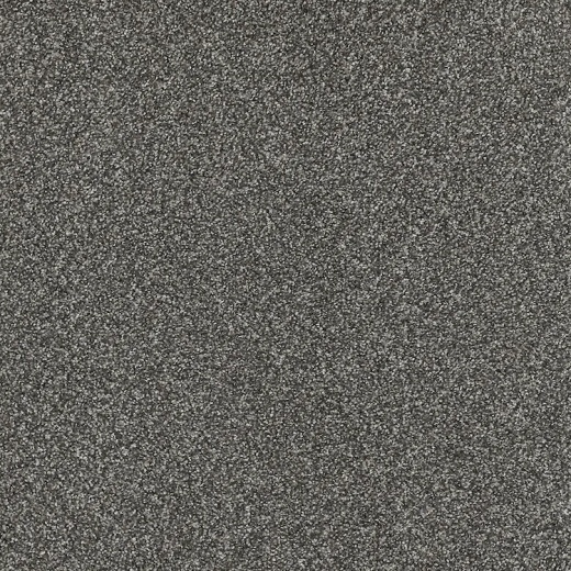 Floorever PetPlus Portofino Midnight Oasis Polyester Carpet - Textured