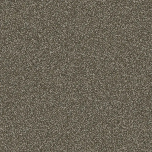 Floorever Visionary Merry Polyester Carpet - Textured