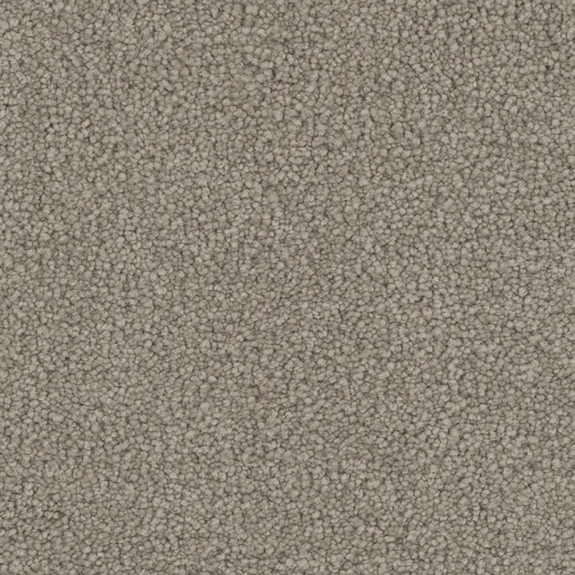 Floorever PetPlus Emerson Authentic Polyester Carpet - Textured
