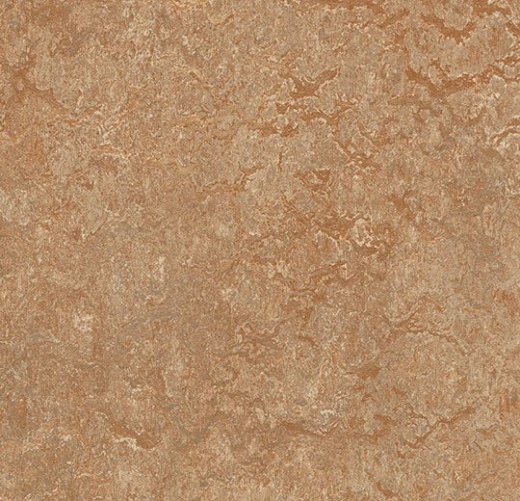 Marmoleum Real Shitake Linoleum - Topshield Pro Full Roll