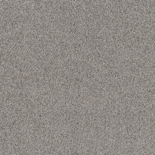 Floorever Petplus Sorrento Sand Dune Polyester Carpet - Textured