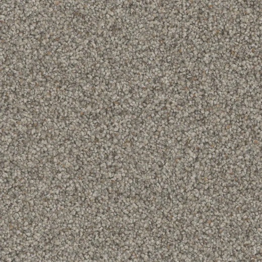 Floorever Petplus Bari Metropolitan Polyester Carpet - Textured