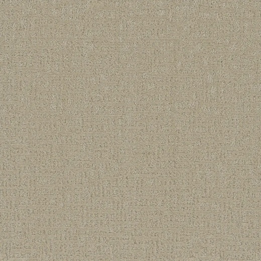 Floorever Sonder Intent Polyester Carpet - Textured