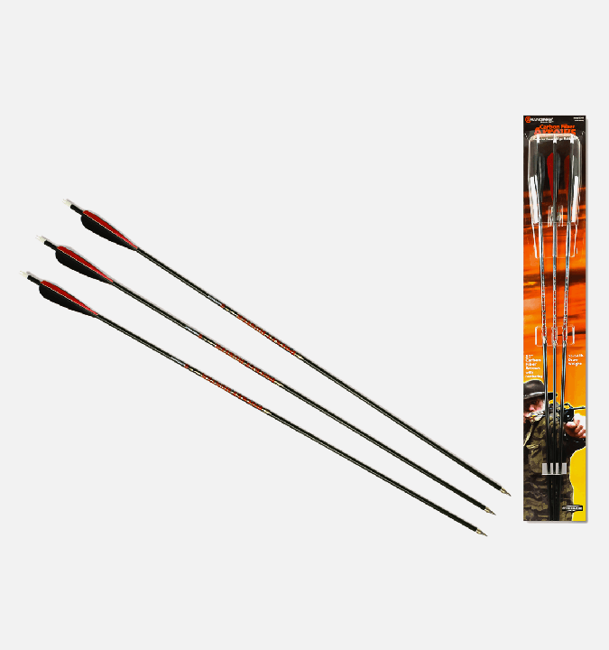 Beeman 31″ Carbon Arrow Kit (3 Arrows In Pkg.)