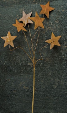 Rusty Star Pick - 12"
