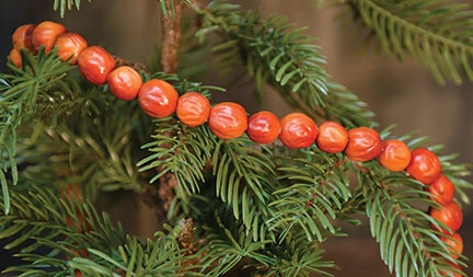 Orange Berry Garland - 4 Ft