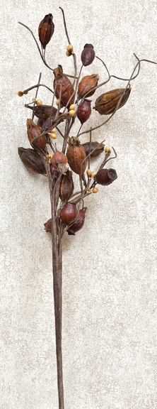Dried Rose Hip Pick, 12"