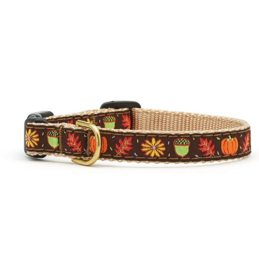 Harvest Time Small Breed Dog Collar - Up Country