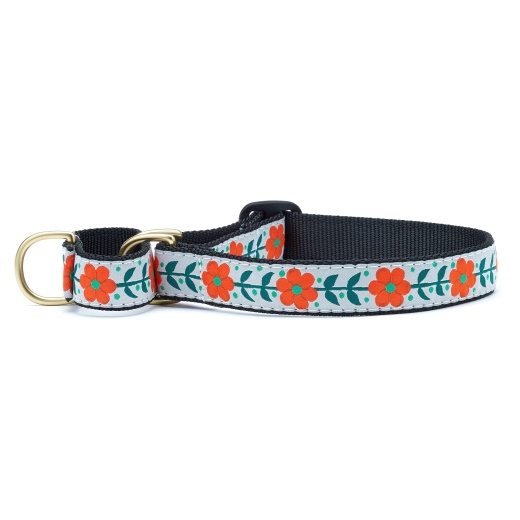 Orange You Pretty Martingale Dog Collar