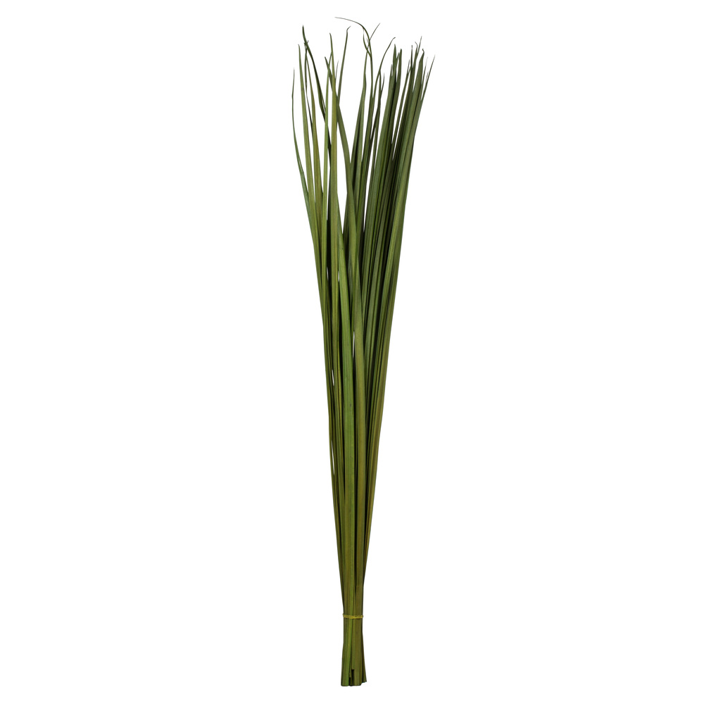 36-40 Green Sable Grass - 7 Oz