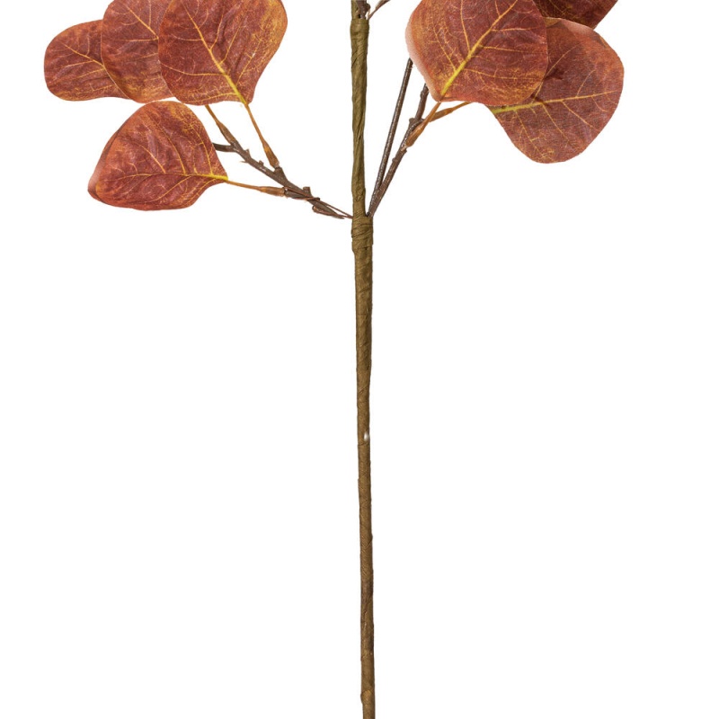 32" Dark Brown Sd Eucalyptus Leaf 3/Bag
