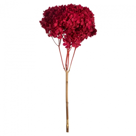 15" Red Hydrangea Stem
