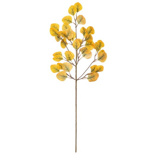 32" Yellow Green Sd Eucalyptus Leaf