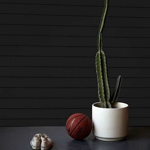 Timeline Shiplap Smooth True Black Wood Wall Paneling