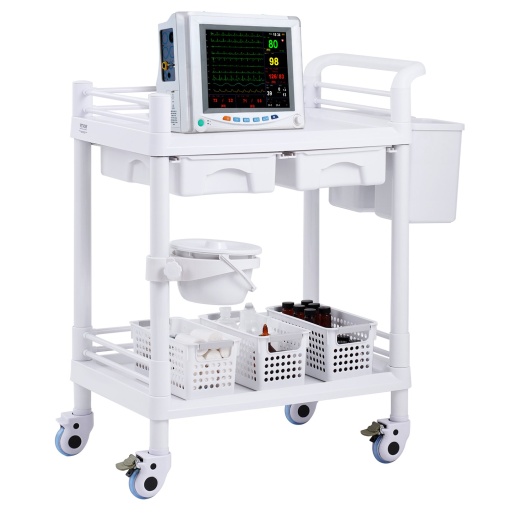Vevor 2 Tiers Lab Cart - Ideal Mobile Medical Storage Solution