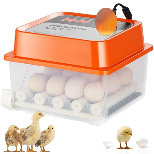 Vevor Egg Incubator: Automatic 12 Eggs Poultry Hatcher with Temperature and Humidity Control
