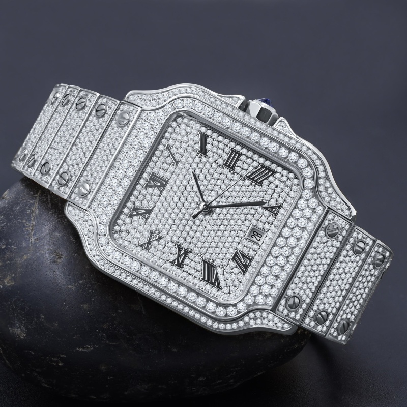 Praemium Steel Watch Silver