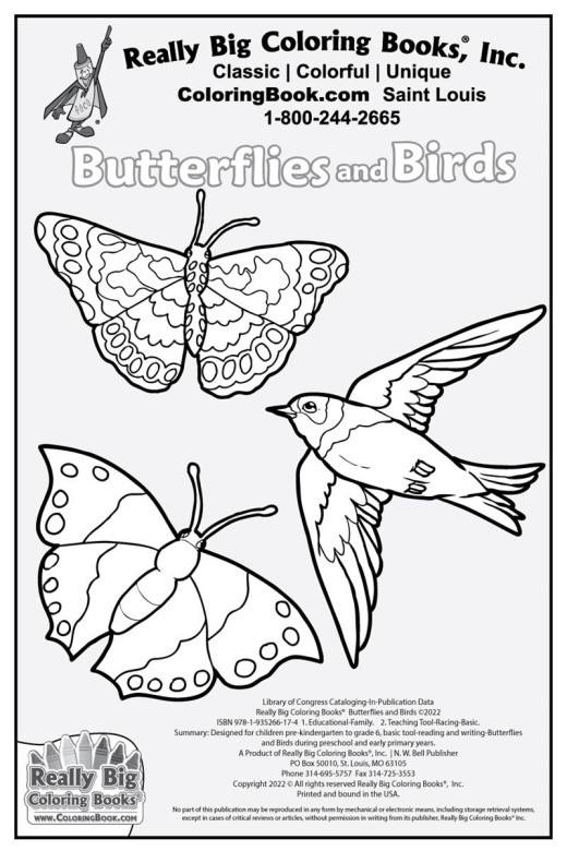 Butterflies and Birds Coloring Book