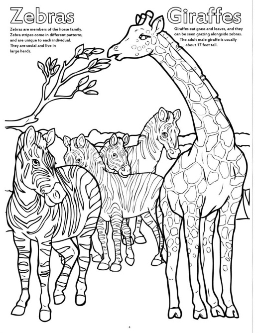 Zoo Animals Really Big Coloring Book 17.5 x 22.5