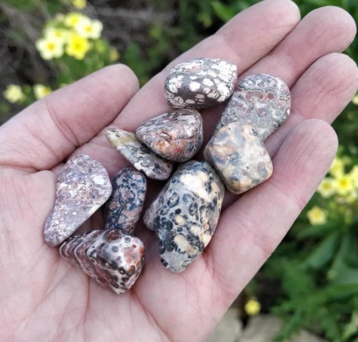 Natural Tumble Stone : Leopard Skin Jasper