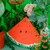12" Wood Watermelon Slice Cutout, 12" X 8.5" X 1/4"