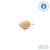 7/8" Wood Wren Egg